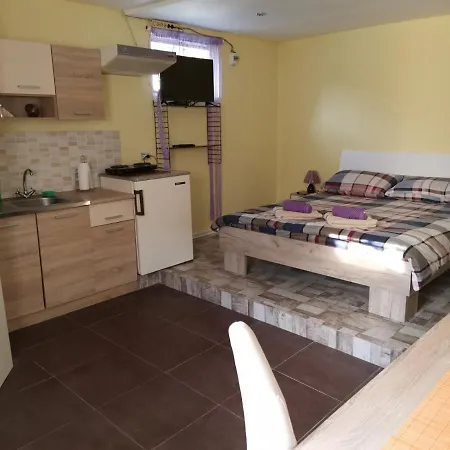 Andjela 2 شقة فردنيك